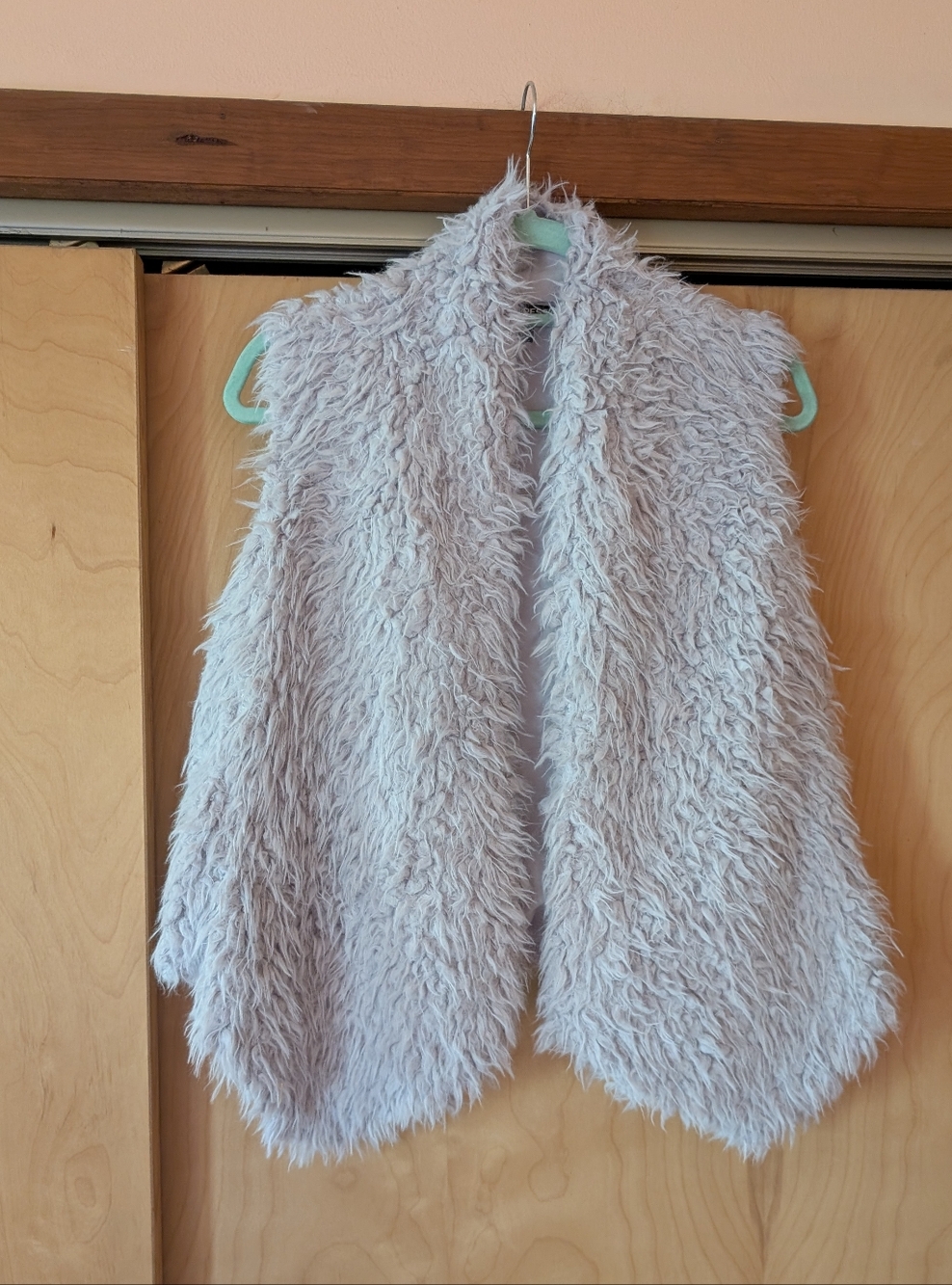 Express Women's Plush Faux Fur Vest in Light Gray